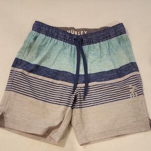 Hurley Men's Aqua and Navy Board Shorts
